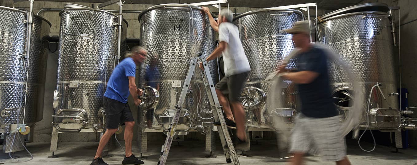 Mark, Cody and Ed working in the barrel room at Wild Sun Winery and Brewery